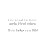 infos zum Bild